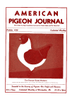 Magazine Cover